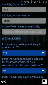 ginstr_app_witnessStatement_EN-6