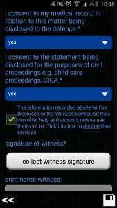 ginstr_app_witnessStatement_EN-8