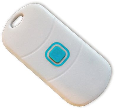 lora-tag